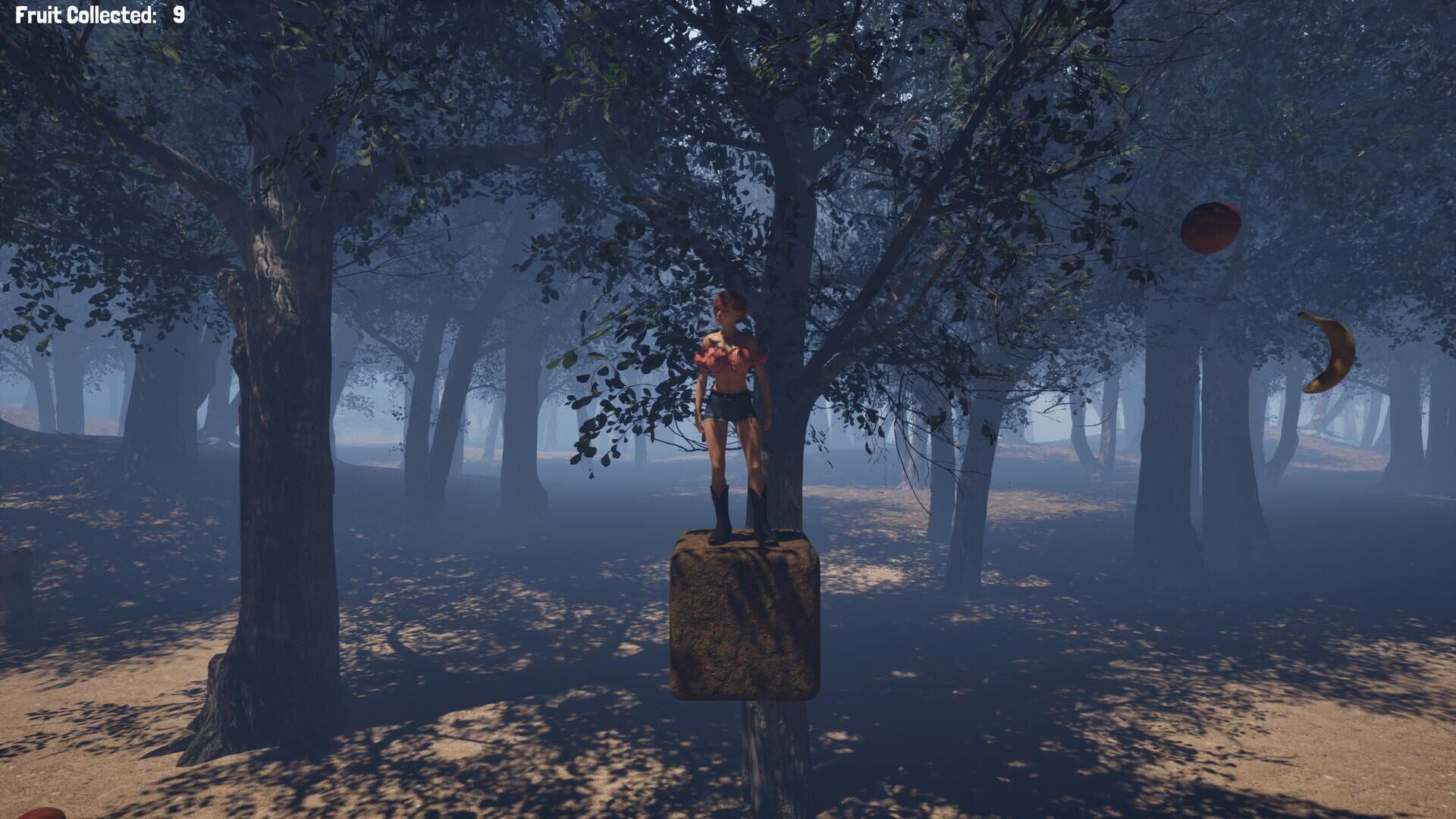 Fruit Collector - Screenshot