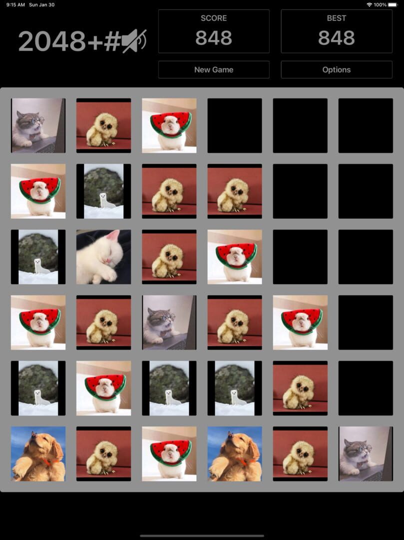 2048+#
