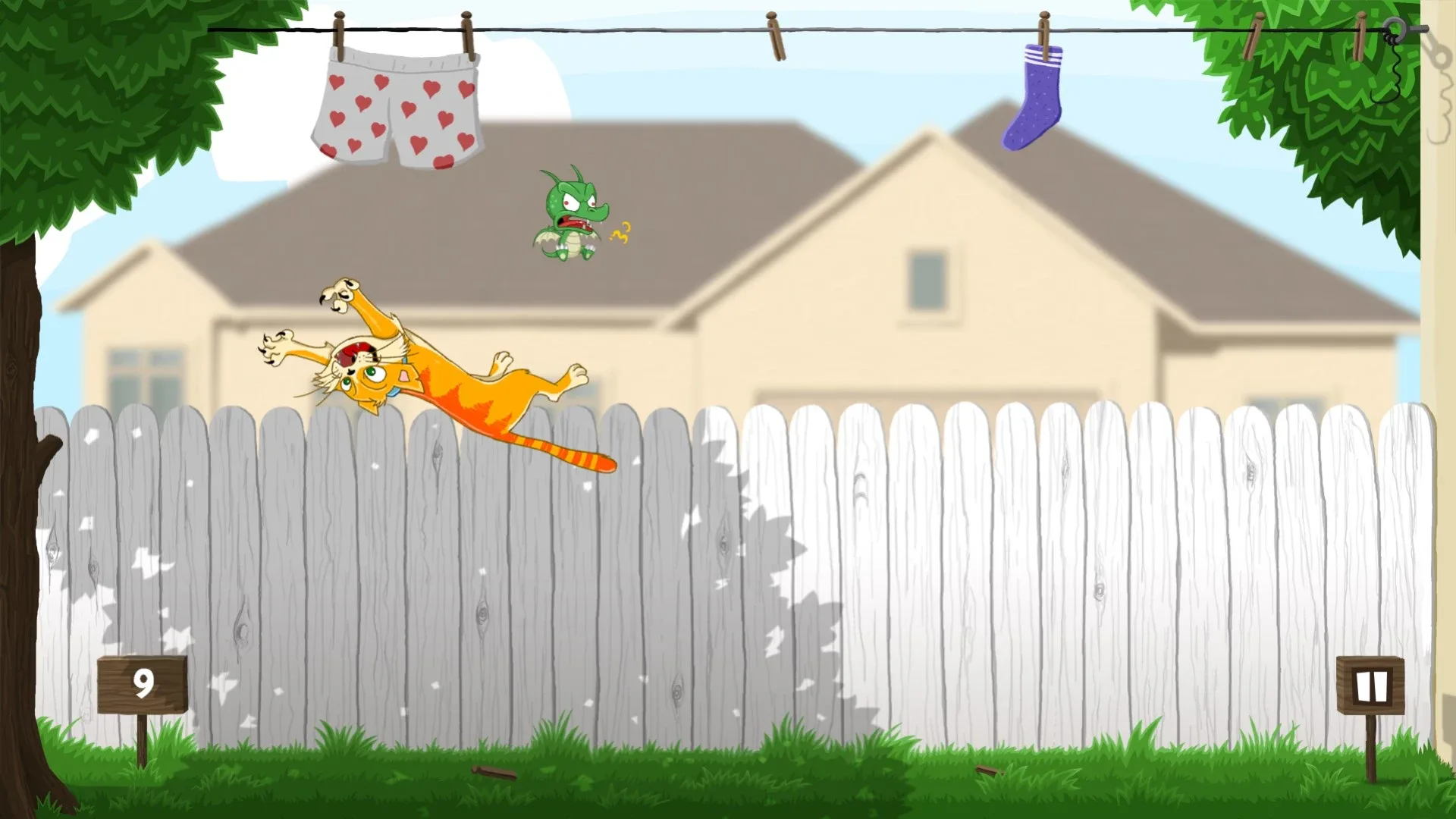 Cat’s Catch