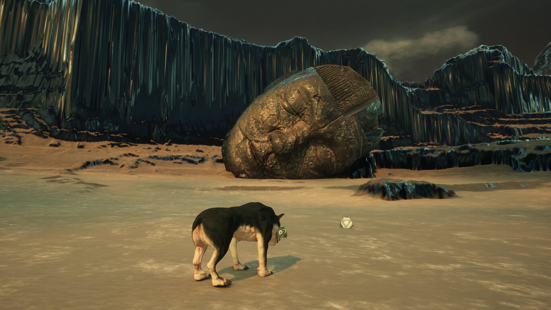The King of Beasts