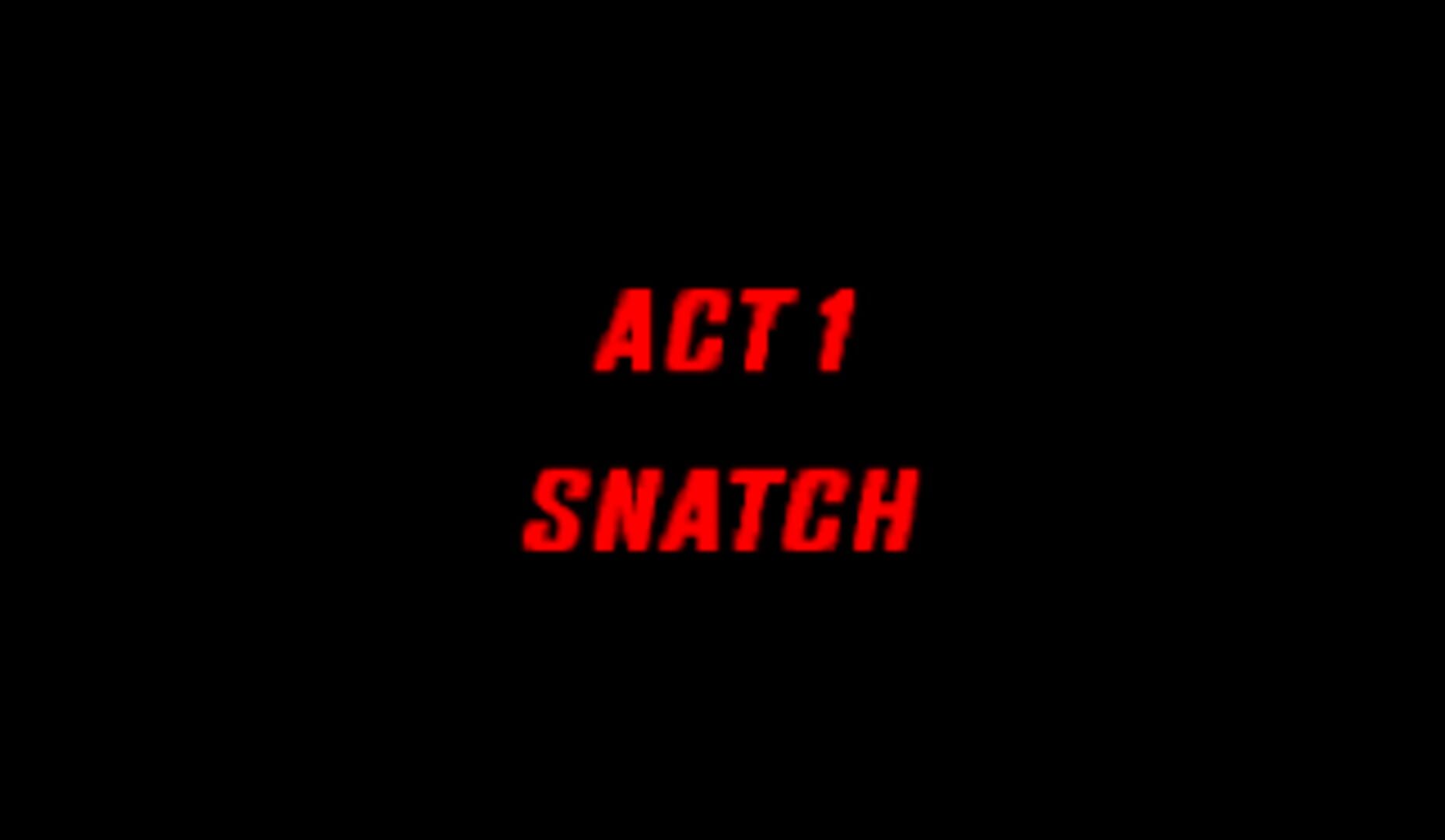 Snatcher