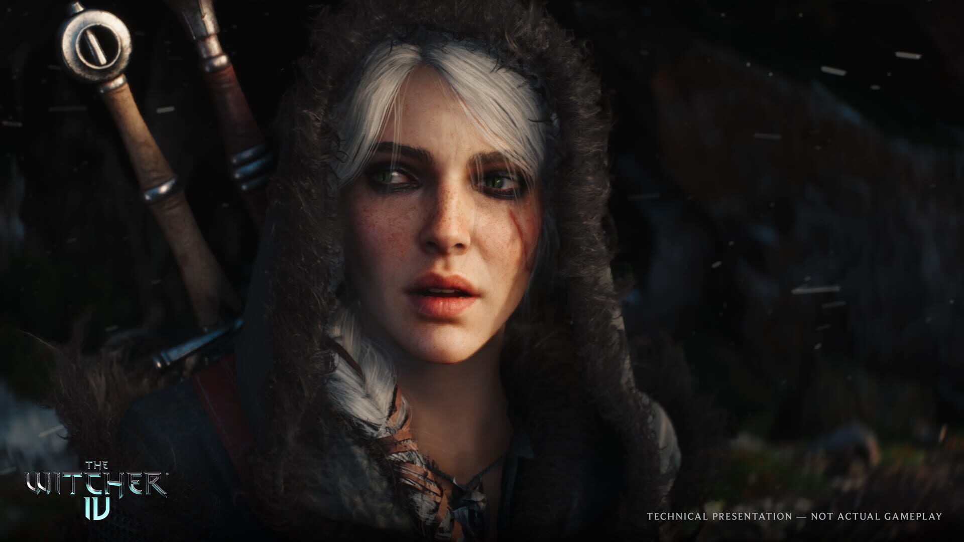 The Witcher IV
