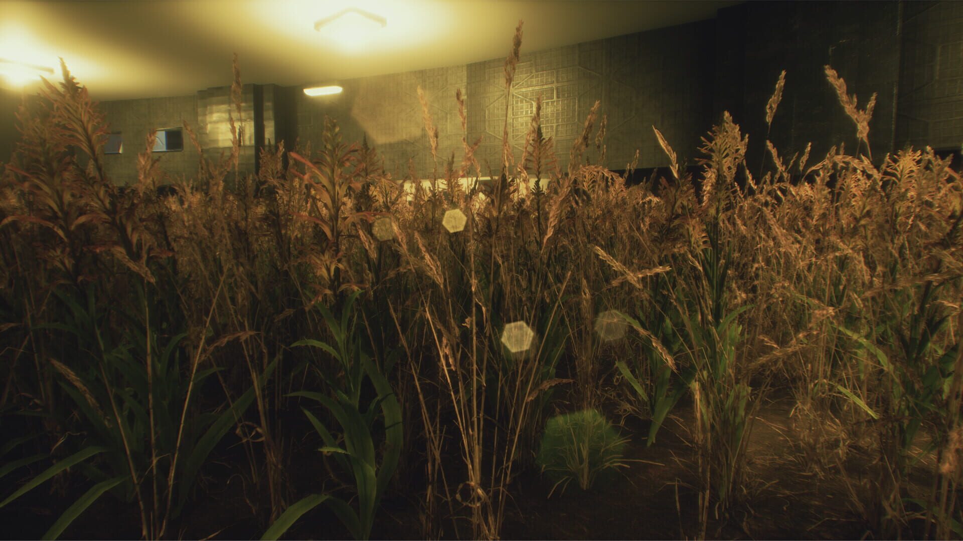 Twice Dead