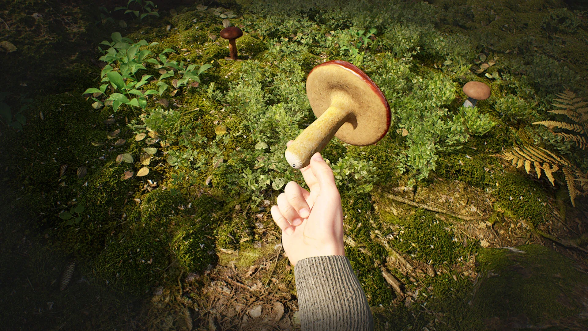 Thumbnail 2