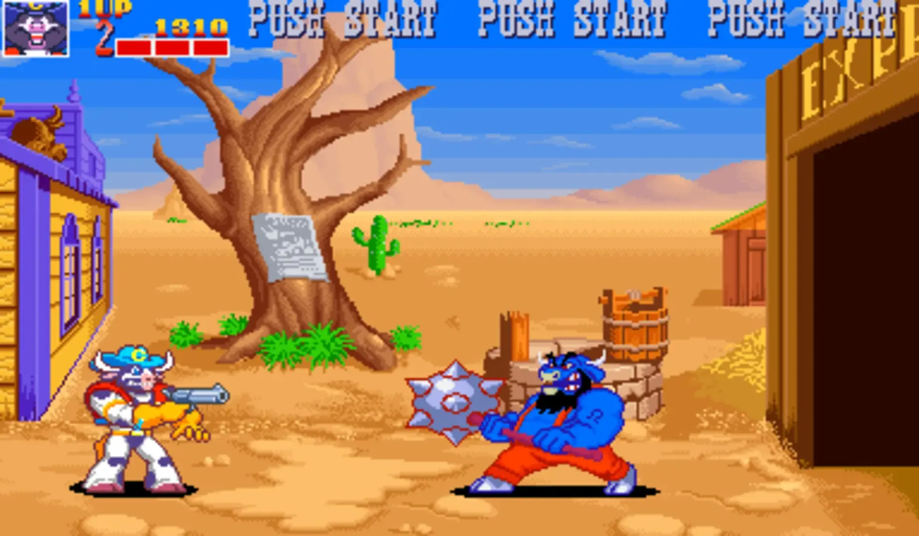 Wild West C.O.W.-Boys of Moo Mesa