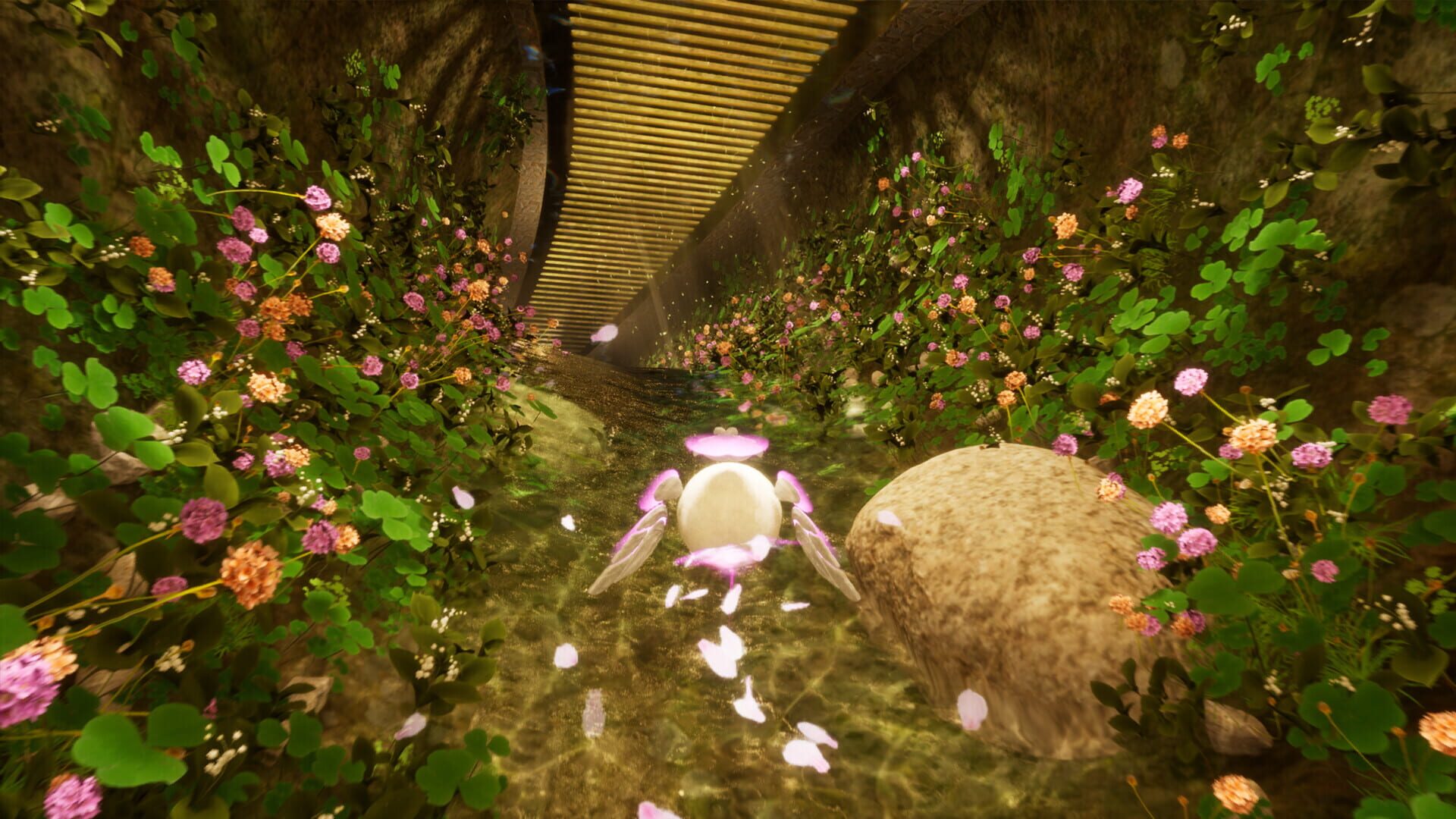 CLTRS screenshot