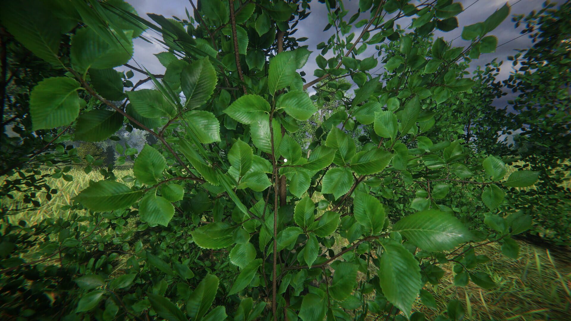 Simulyator Odinochestva V Russkoy Derevne - Screenshot