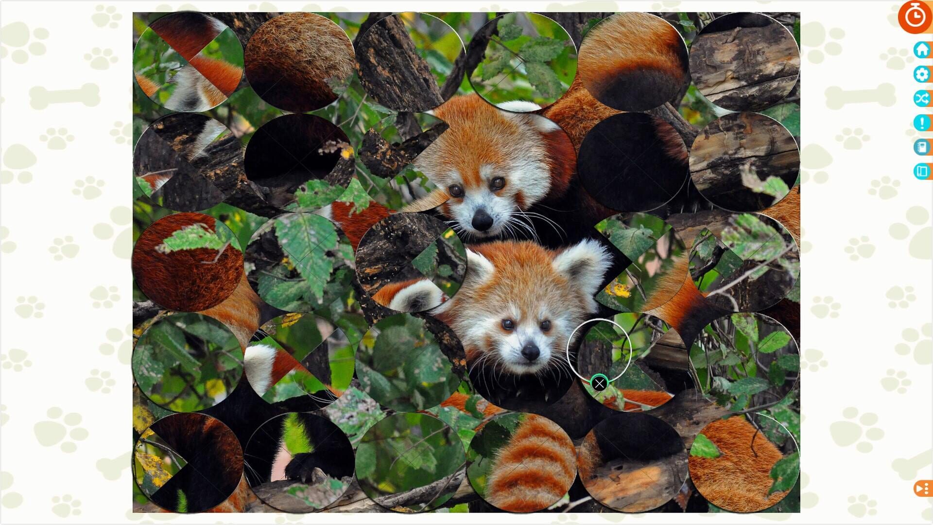 Puzzle Escapes: Paws & Claws - Screenshot
