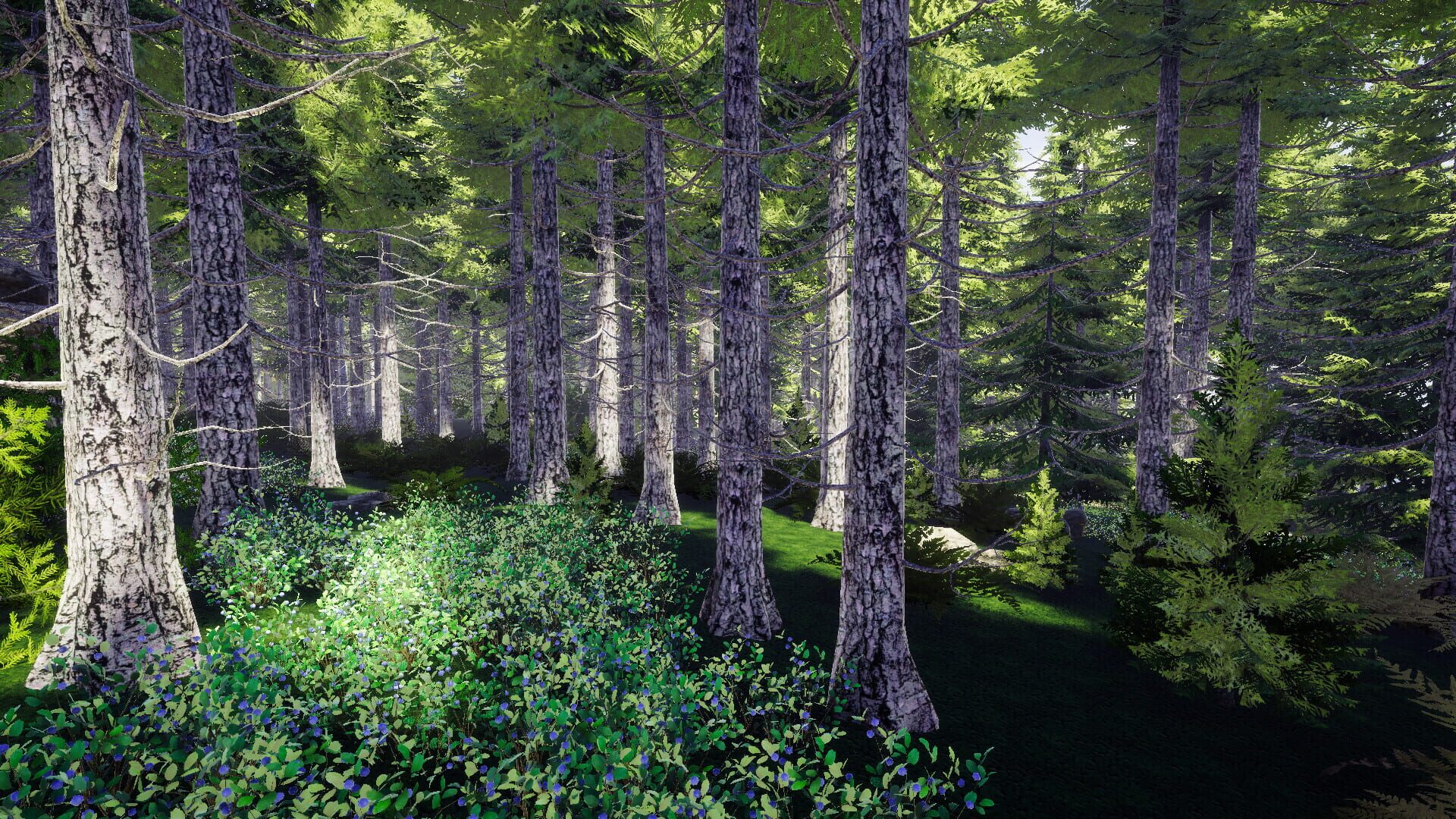 Finnish Forest - Screenshot
