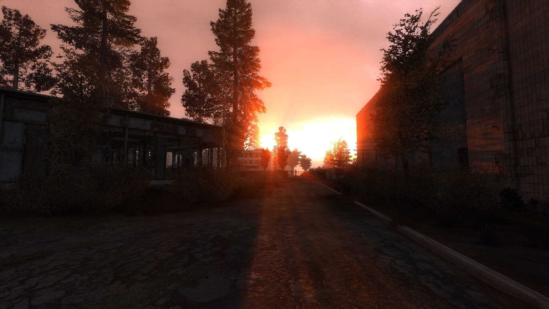 S.T.A.L.K.E.R.: Incubator