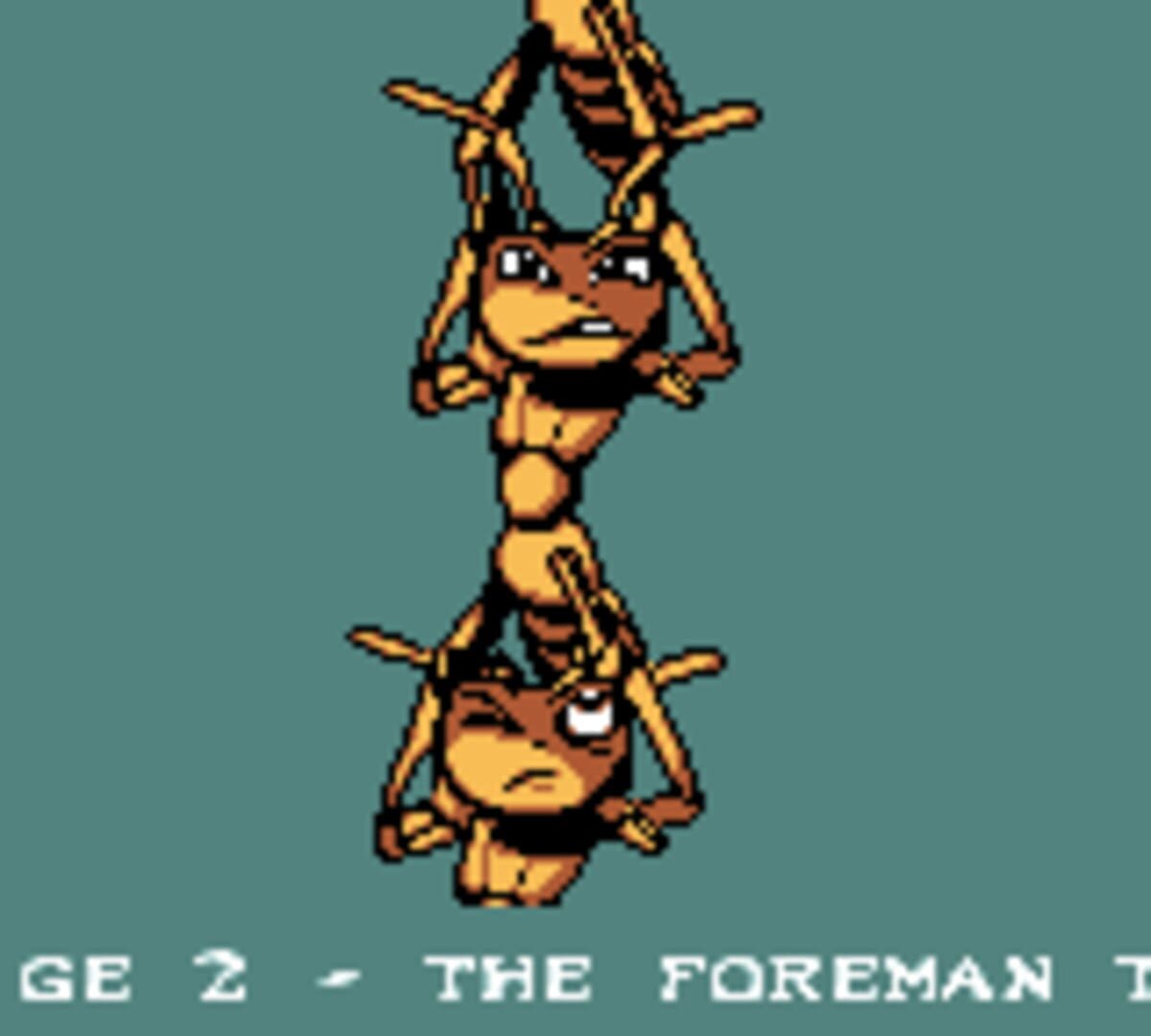 Antz