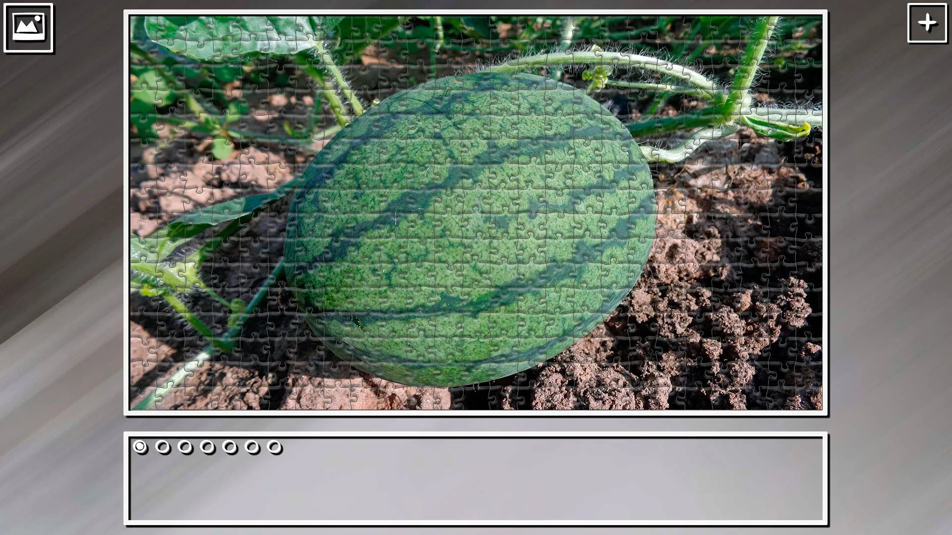 Thumbnail 7