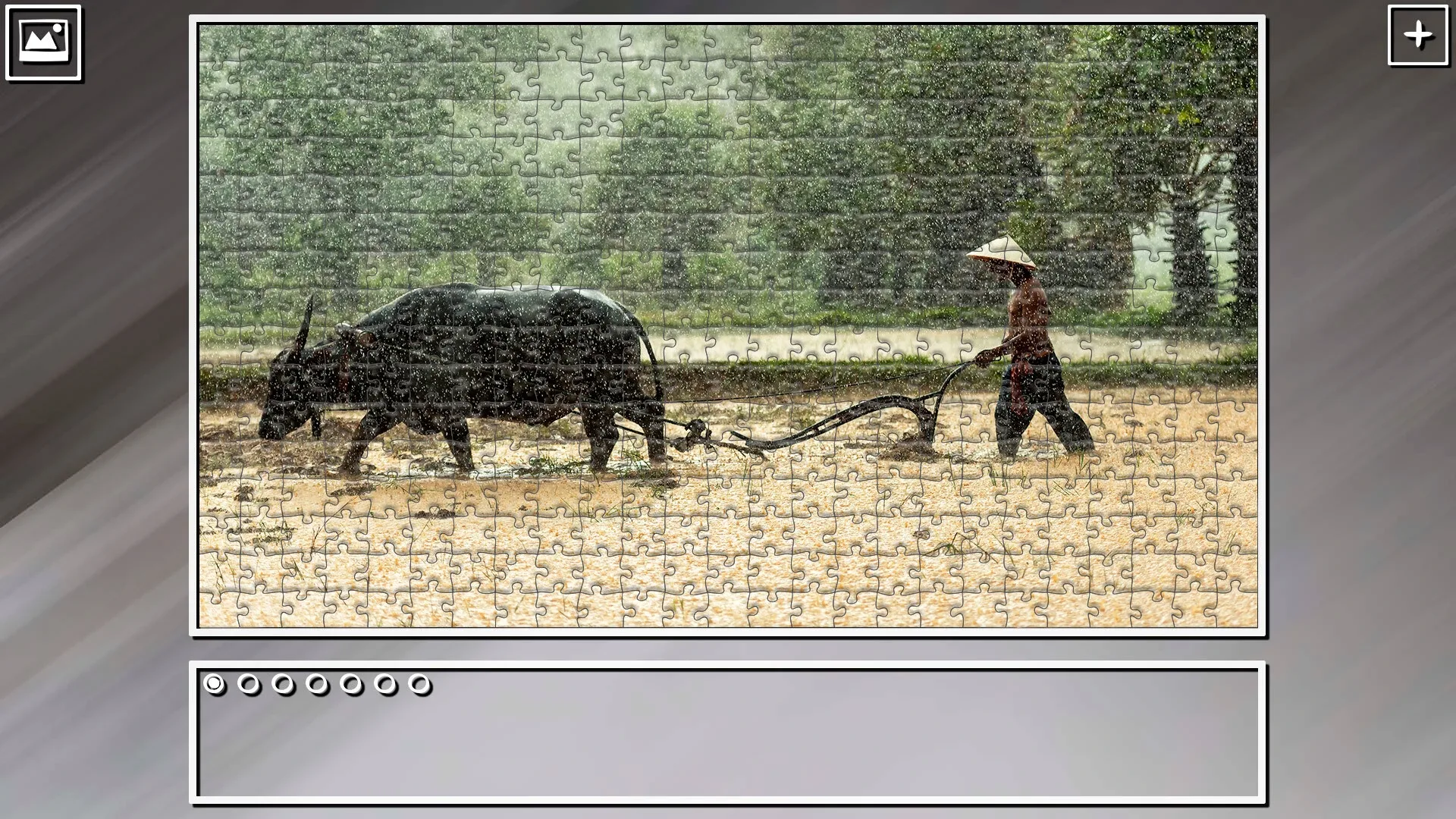 Thumbnail 12
