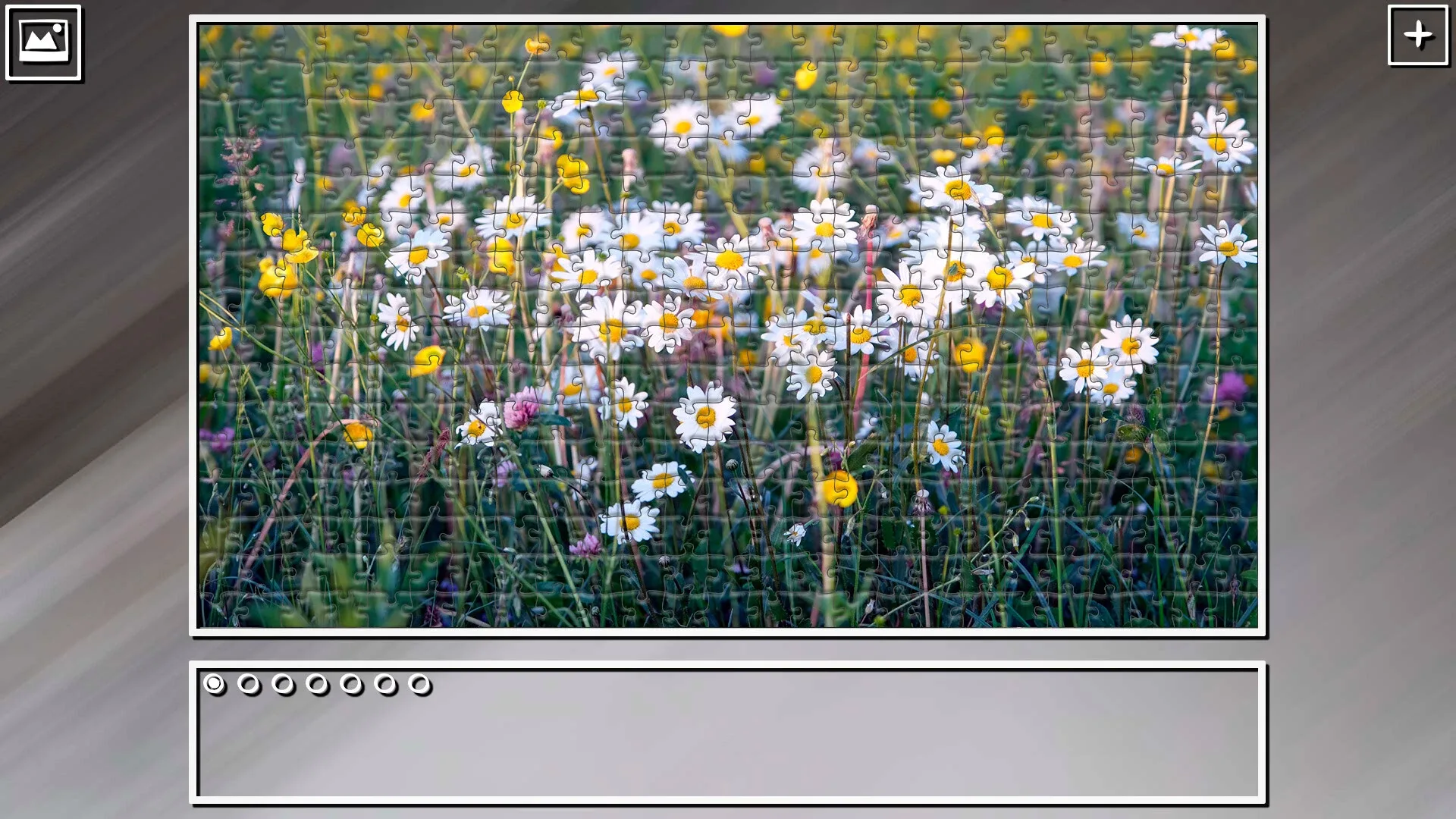 Thumbnail 11