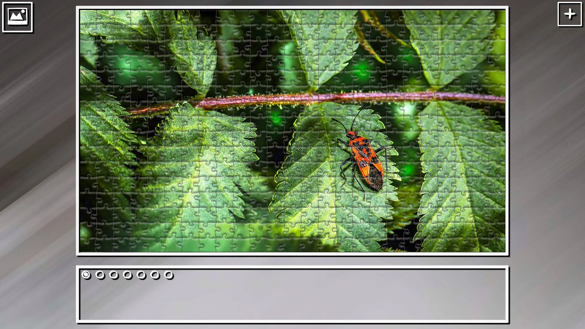 Thumbnail 8