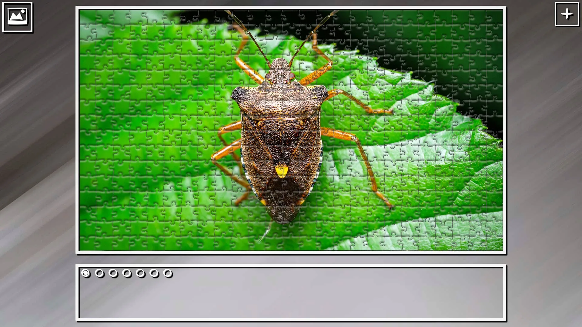 Thumbnail 10