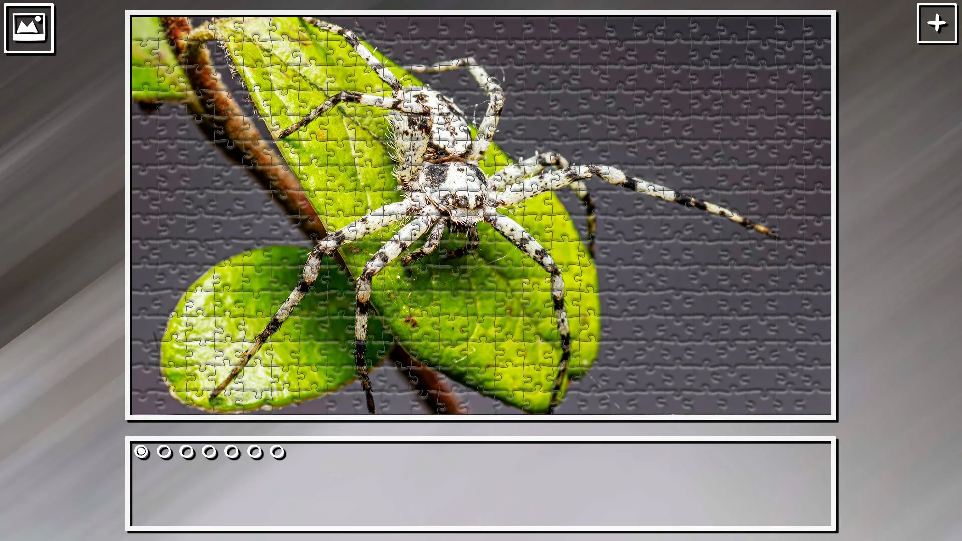 Thumbnail 11