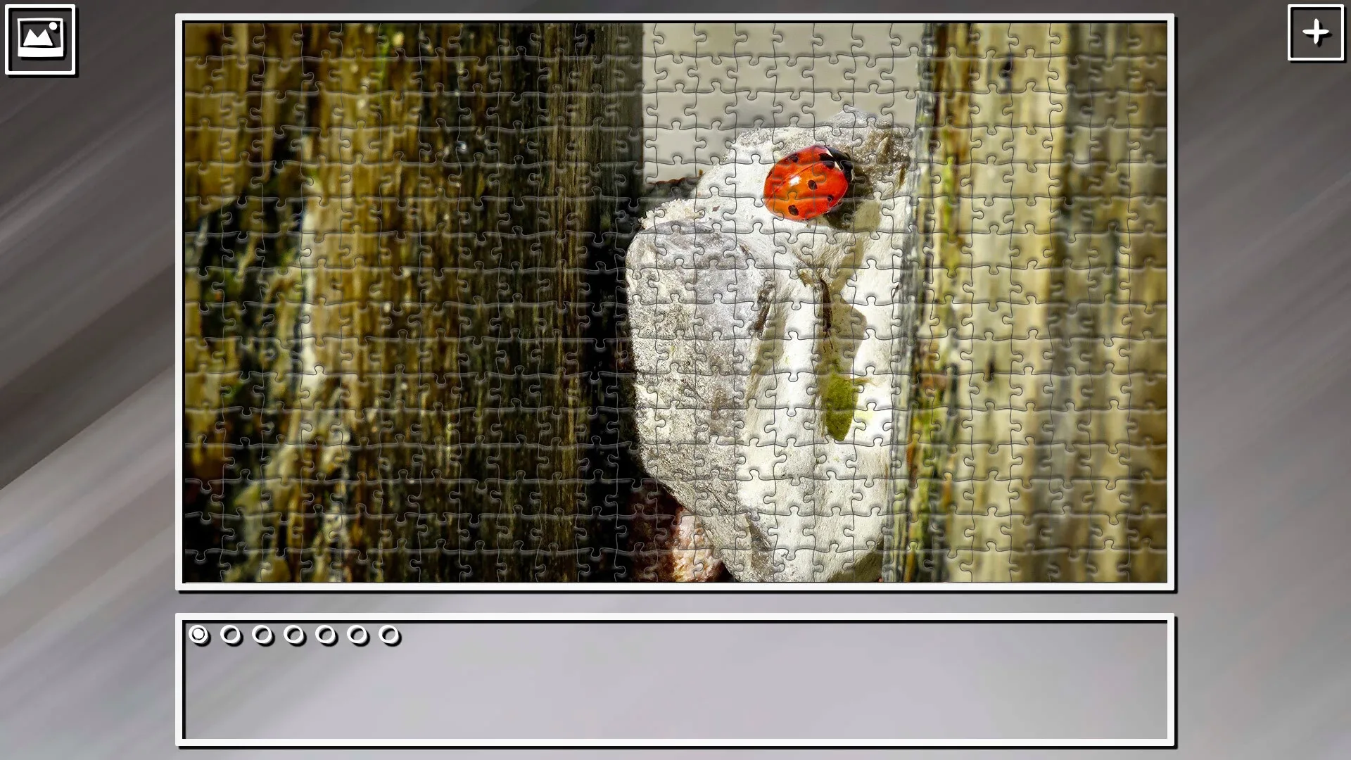Thumbnail 12