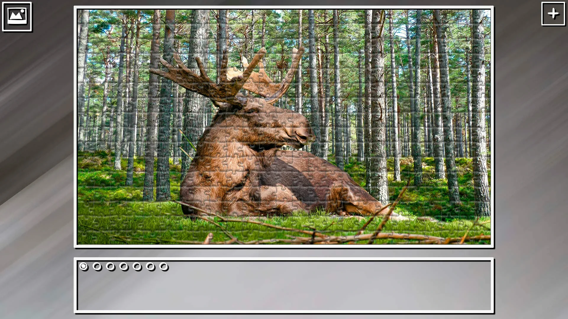 Thumbnail 8