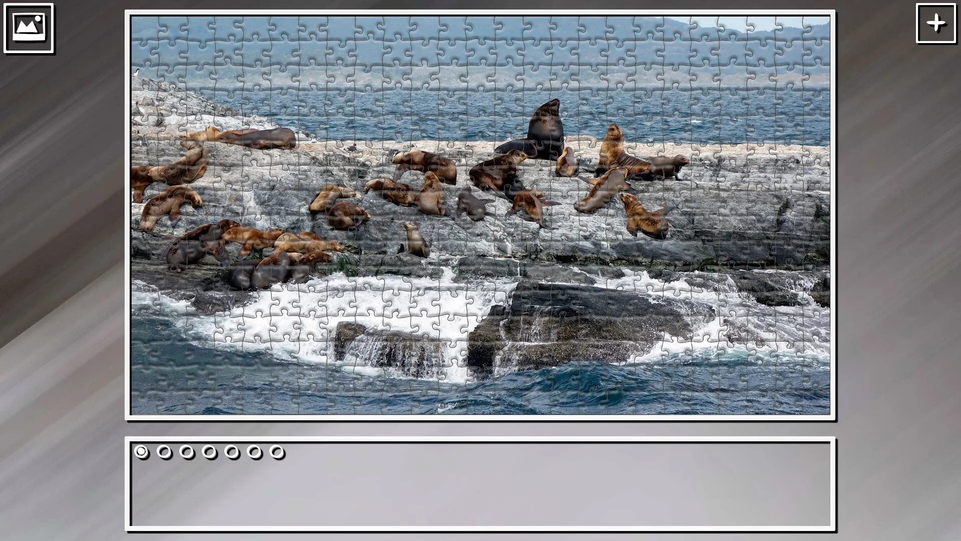 Thumbnail 11