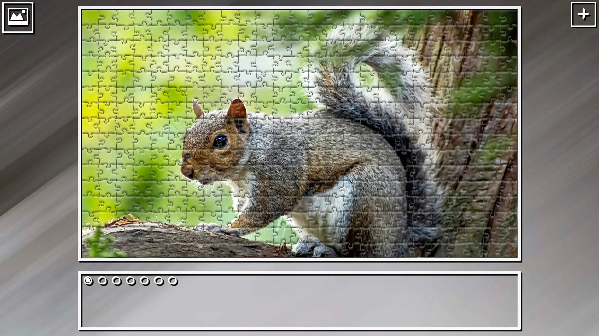 Thumbnail 11