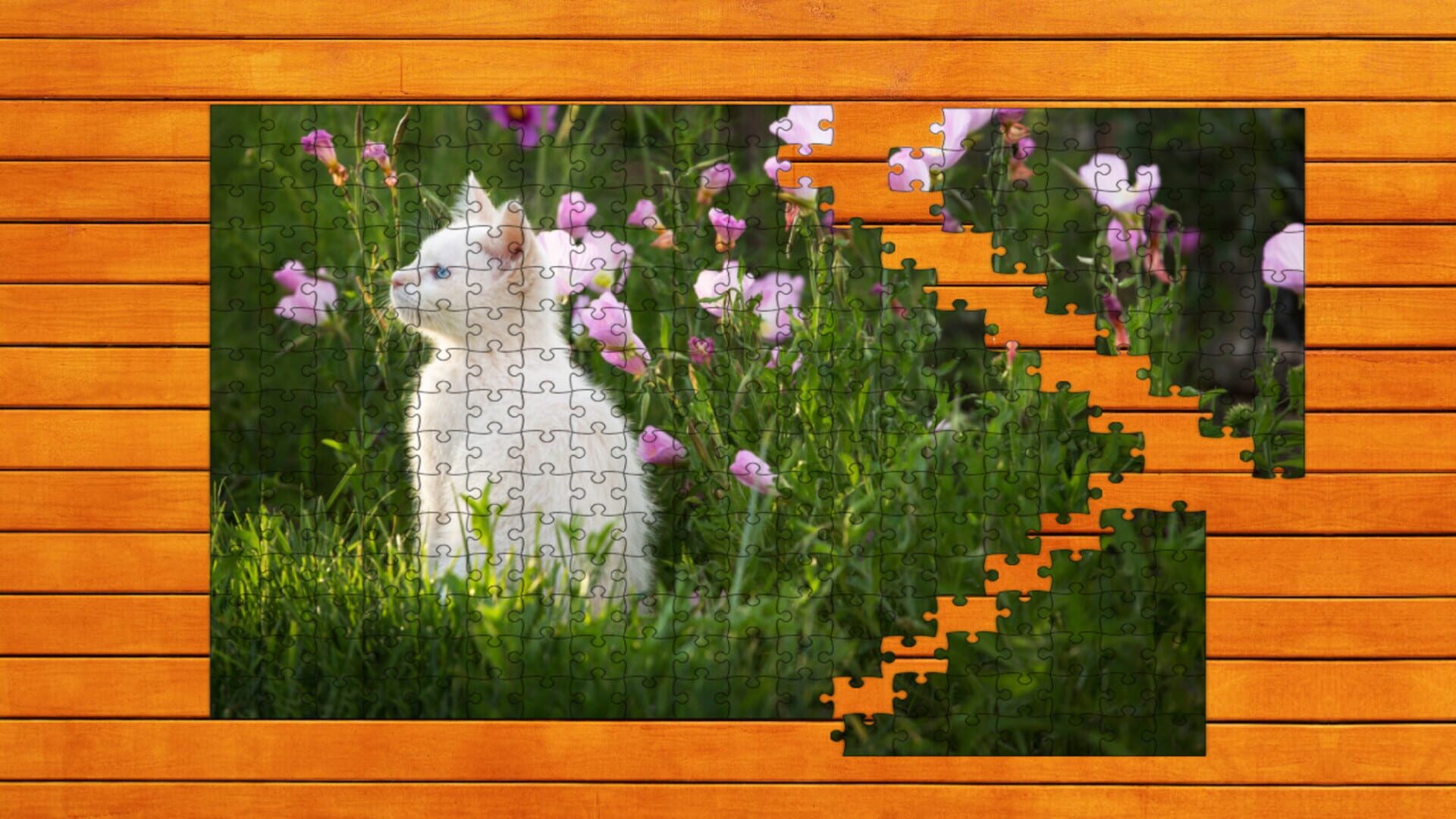 Paw & Hop Jigsaw Quest: Expansion Pack 2