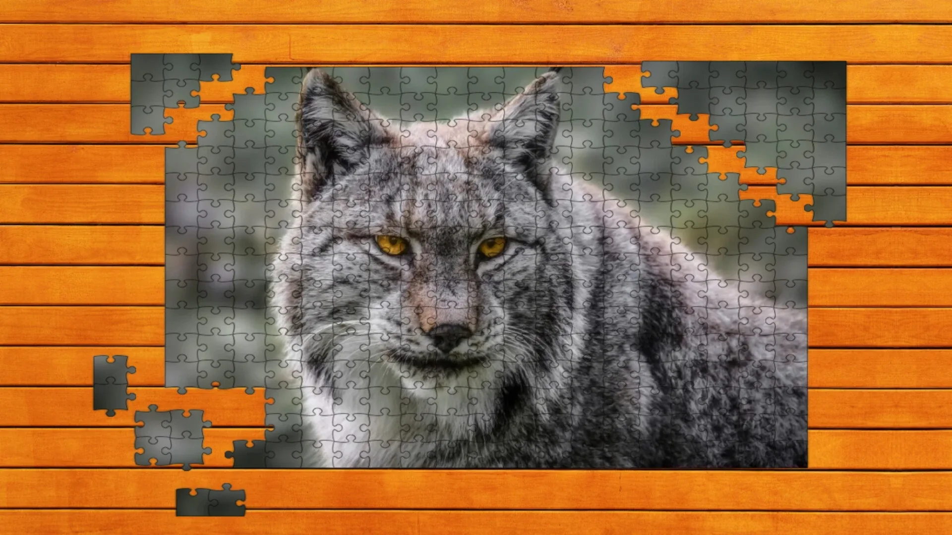Wild Lynx Jigsaw: Expansion Pack 2