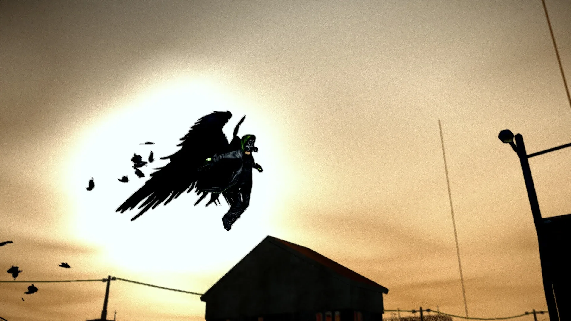 Thumbnail 11