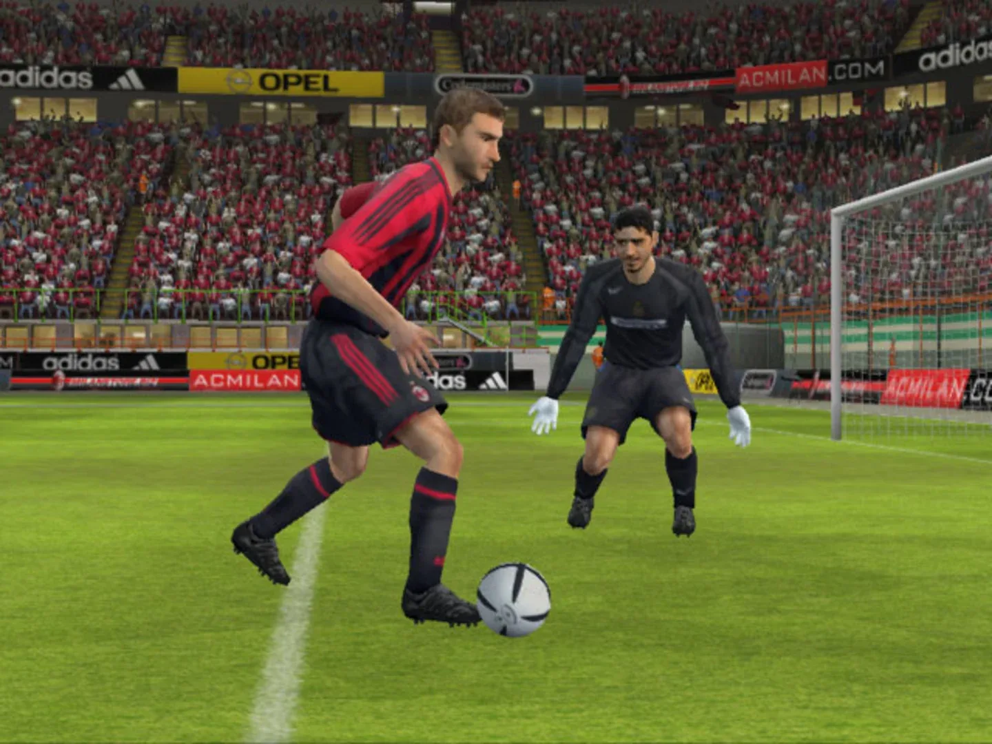 Thumbnail 10