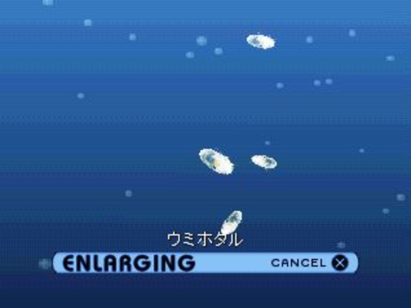 Aquanaut's Holiday 2