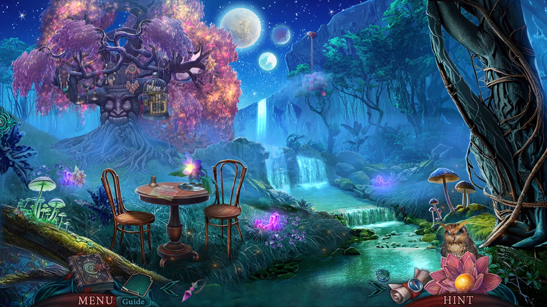 Reflections of Life: Sleep's Embrace - Collector's Edition