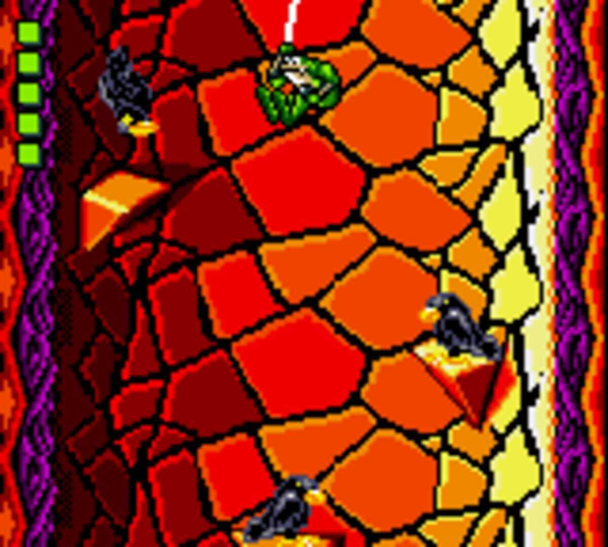 Battletoads