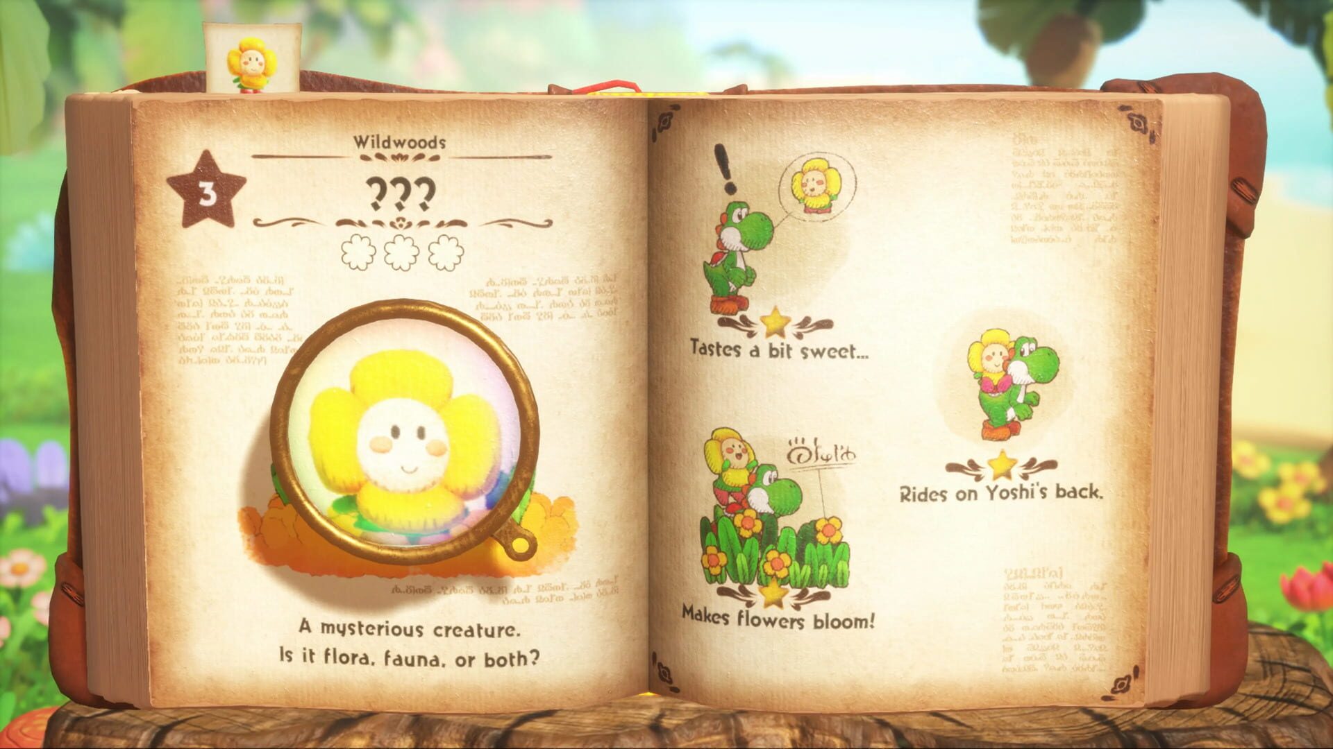 Yoshi and the Mysterious Book screenshot
