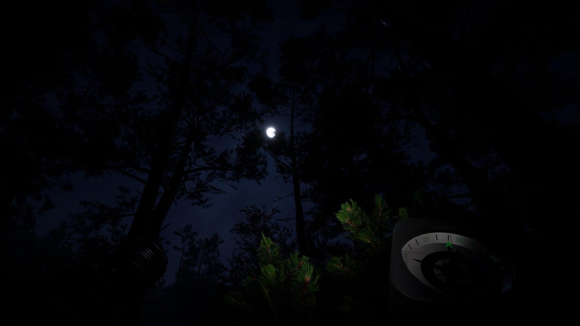 Cursed Dungeon Raider