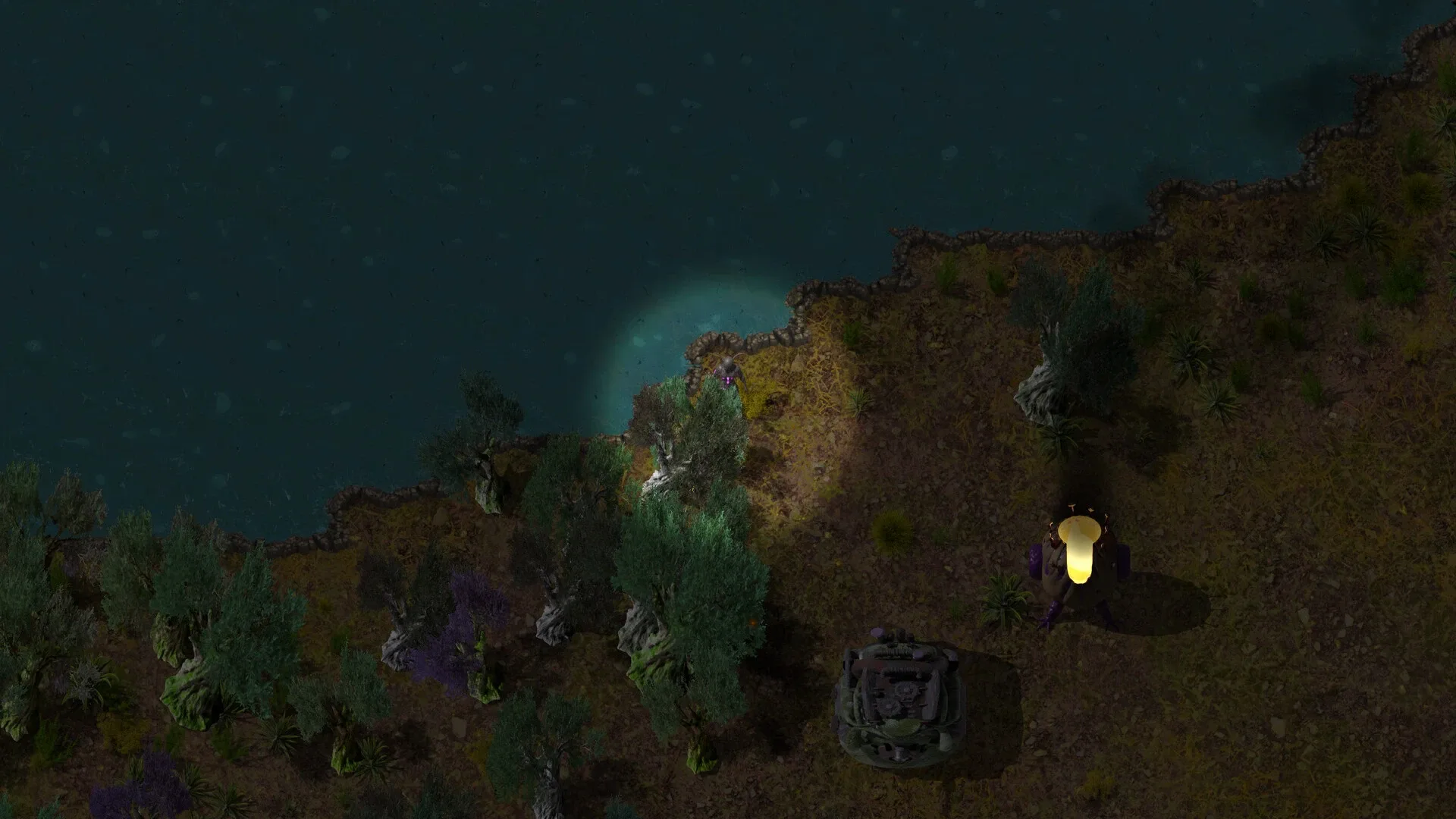 Thumbnail 13