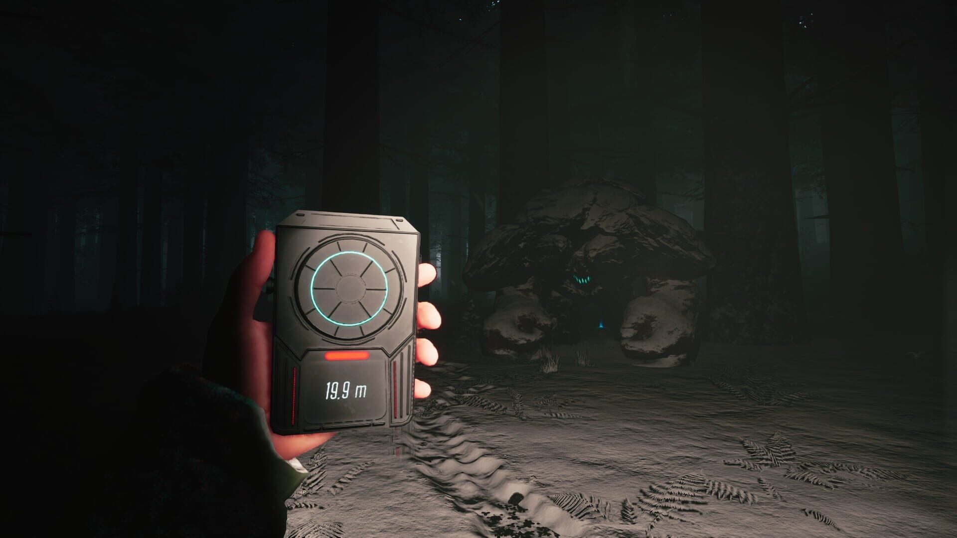 Mycelium: The Silent Contract