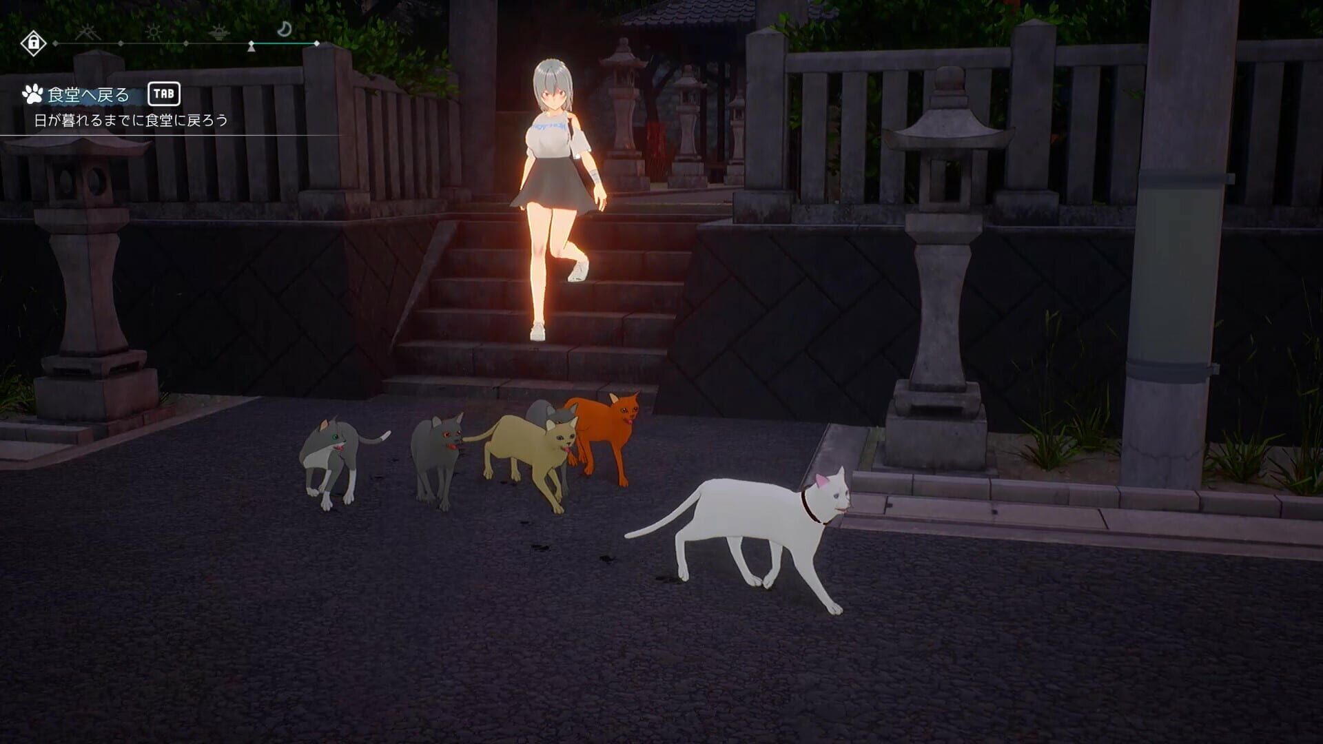 Cat Island Petrichor