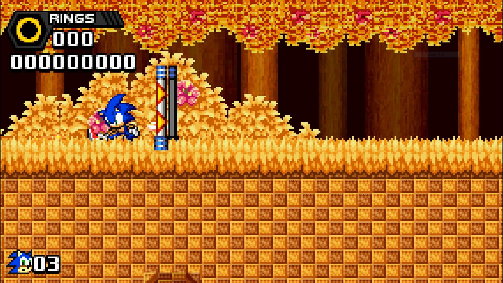 Sonic Seasons