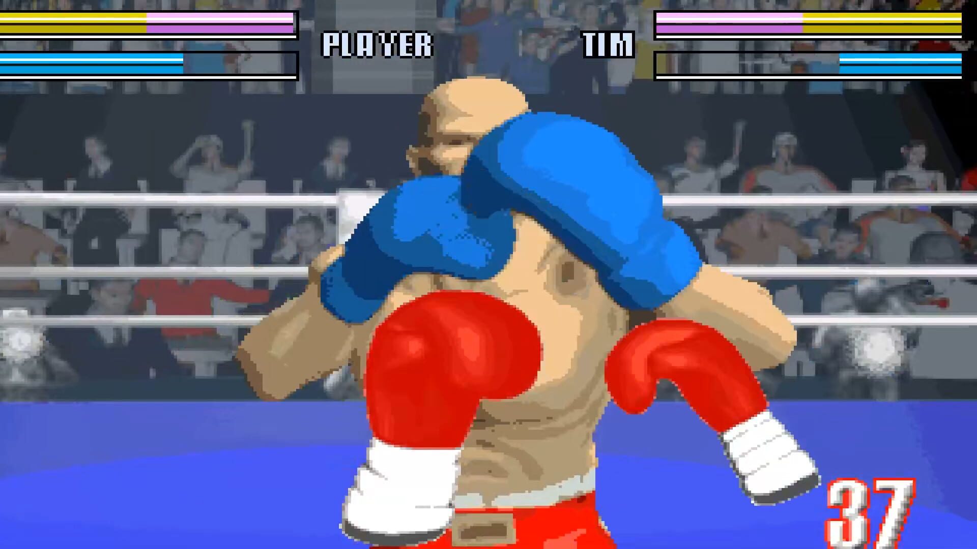 Virtual Boxing