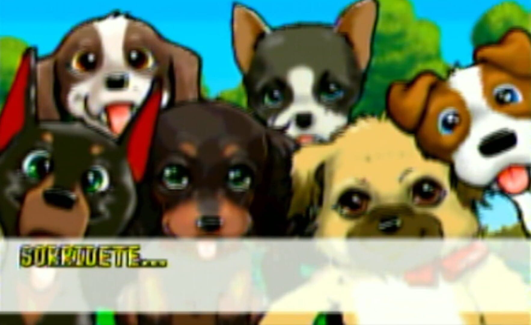 Cuccioli Cerca Amici