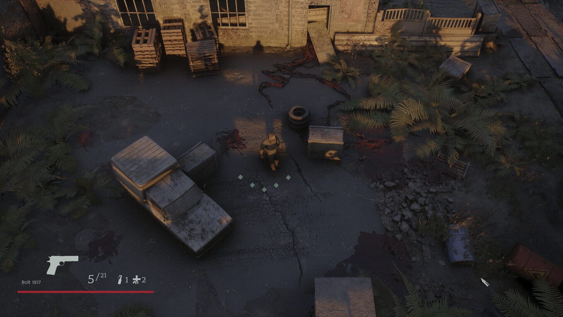 Where the Forest Ends