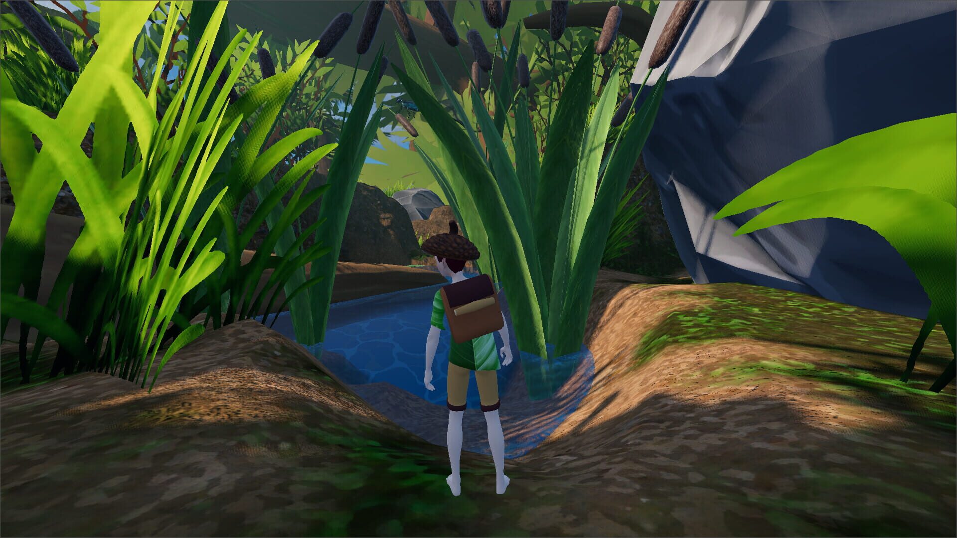 Tiny: The Last Wayfinder