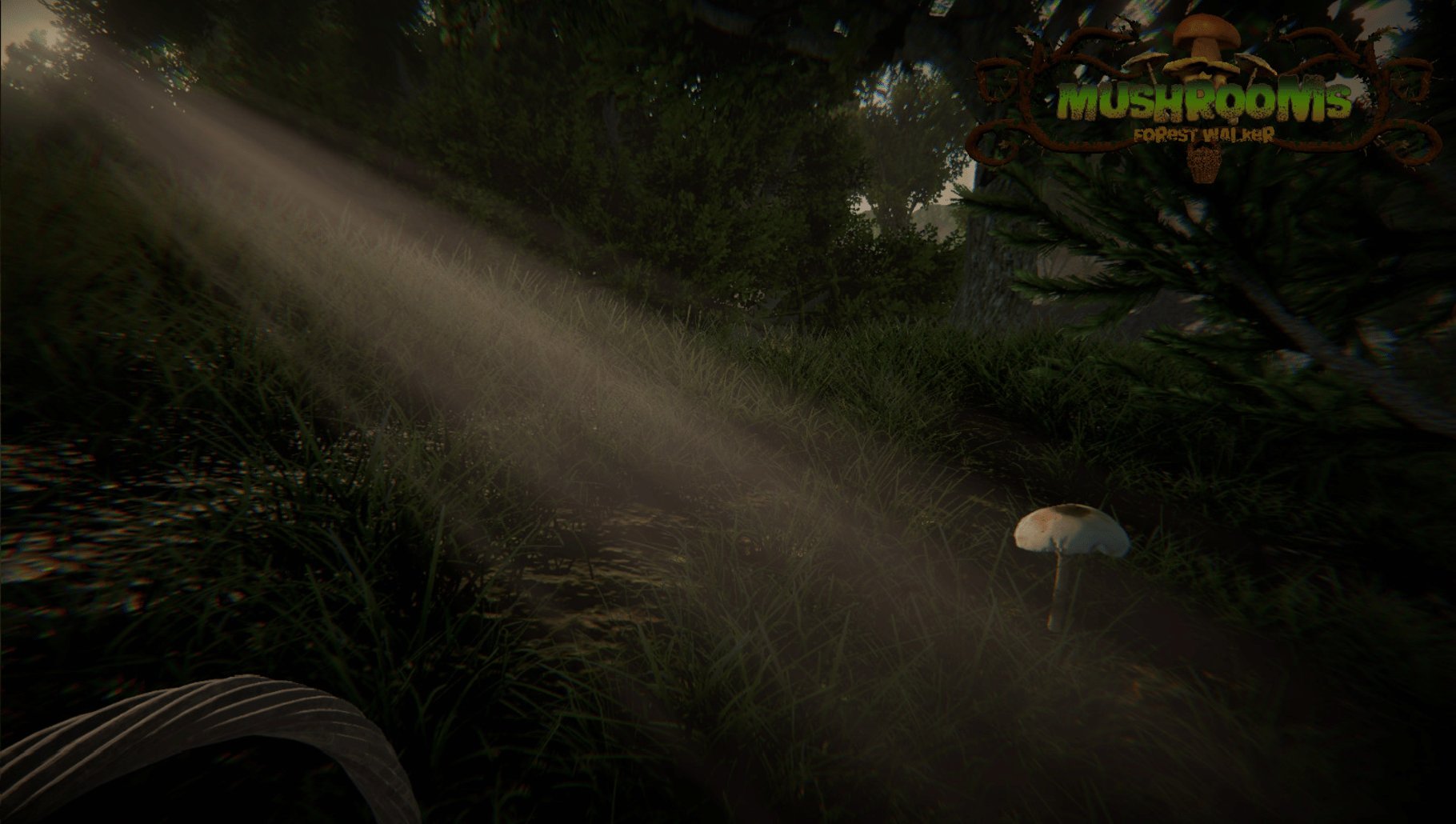 Mushrooms: Forest Walker screenshot