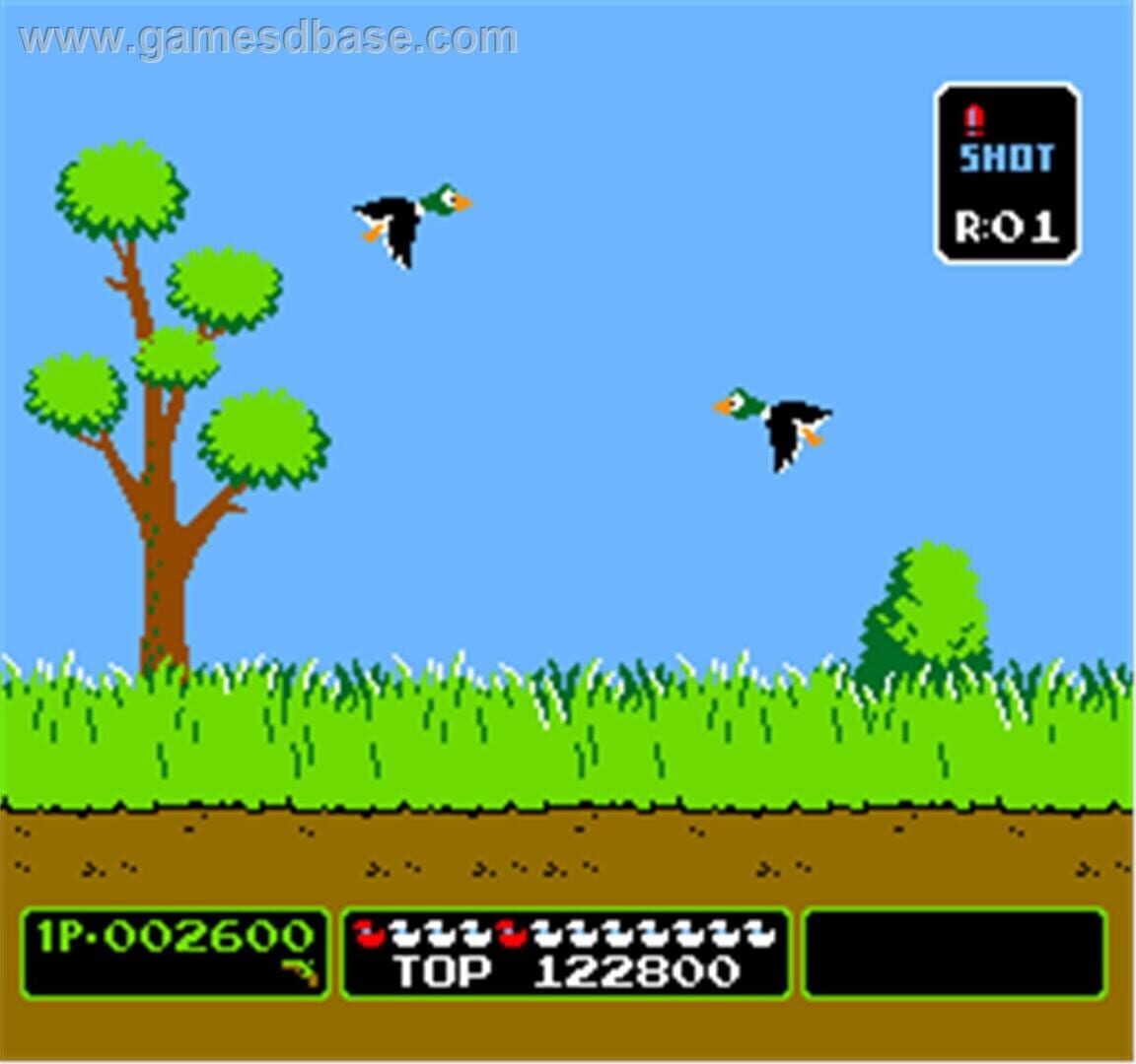 Captura de pantalla - Duck Hunt