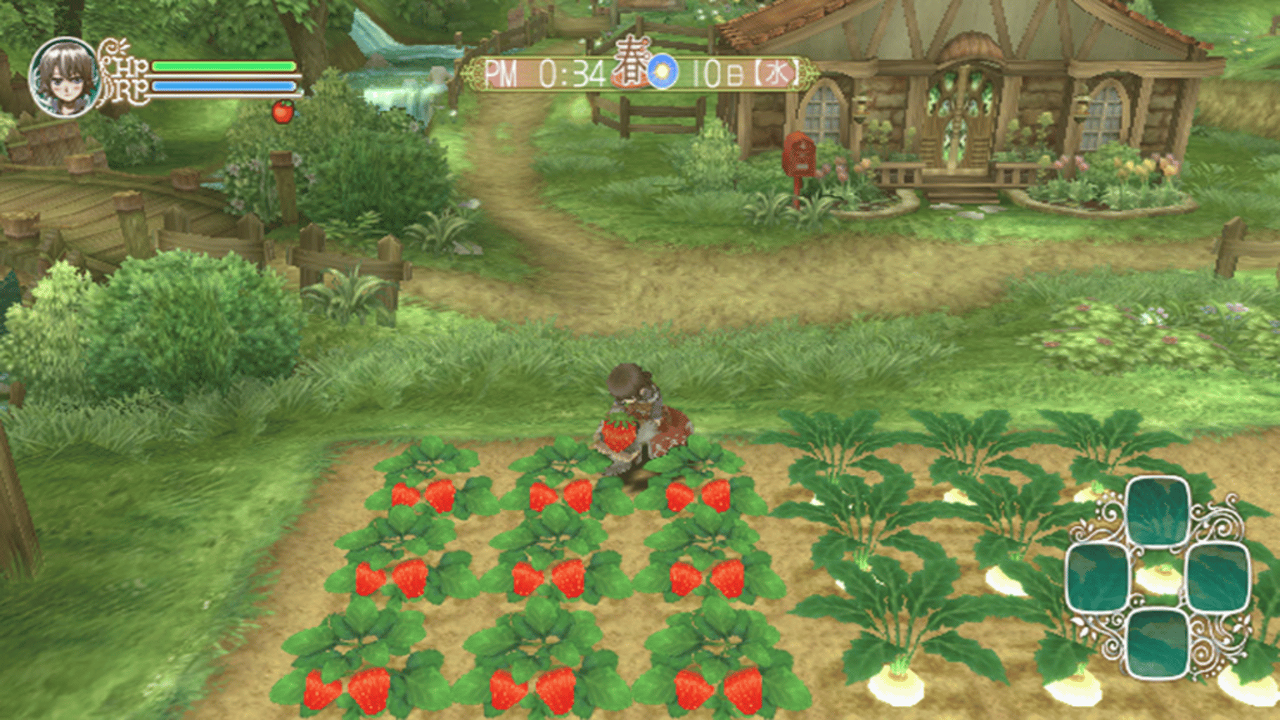 Rune Factory Frontier screenshot