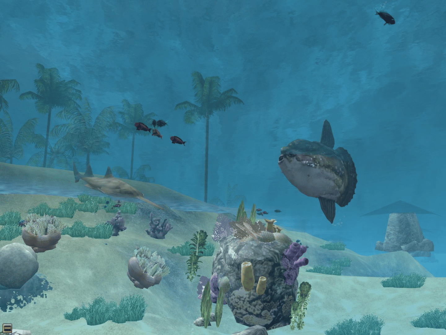 Wildlife Park 2: Marine World screenshot