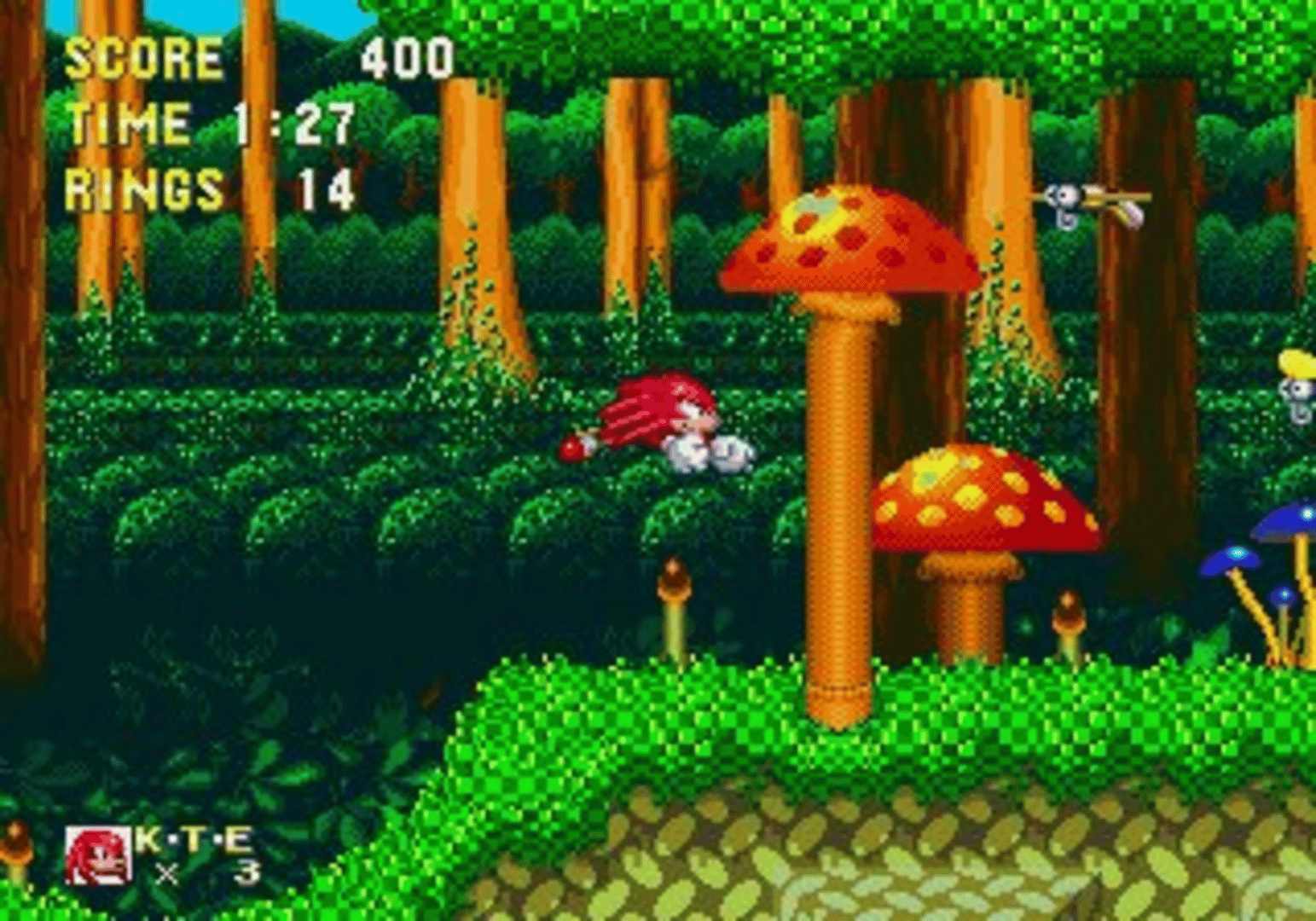 Sonic & Knuckles screenshot