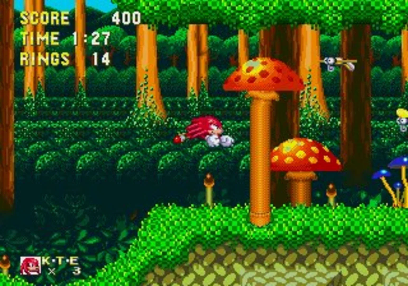 Captura de pantalla - Sonic & Knuckles
