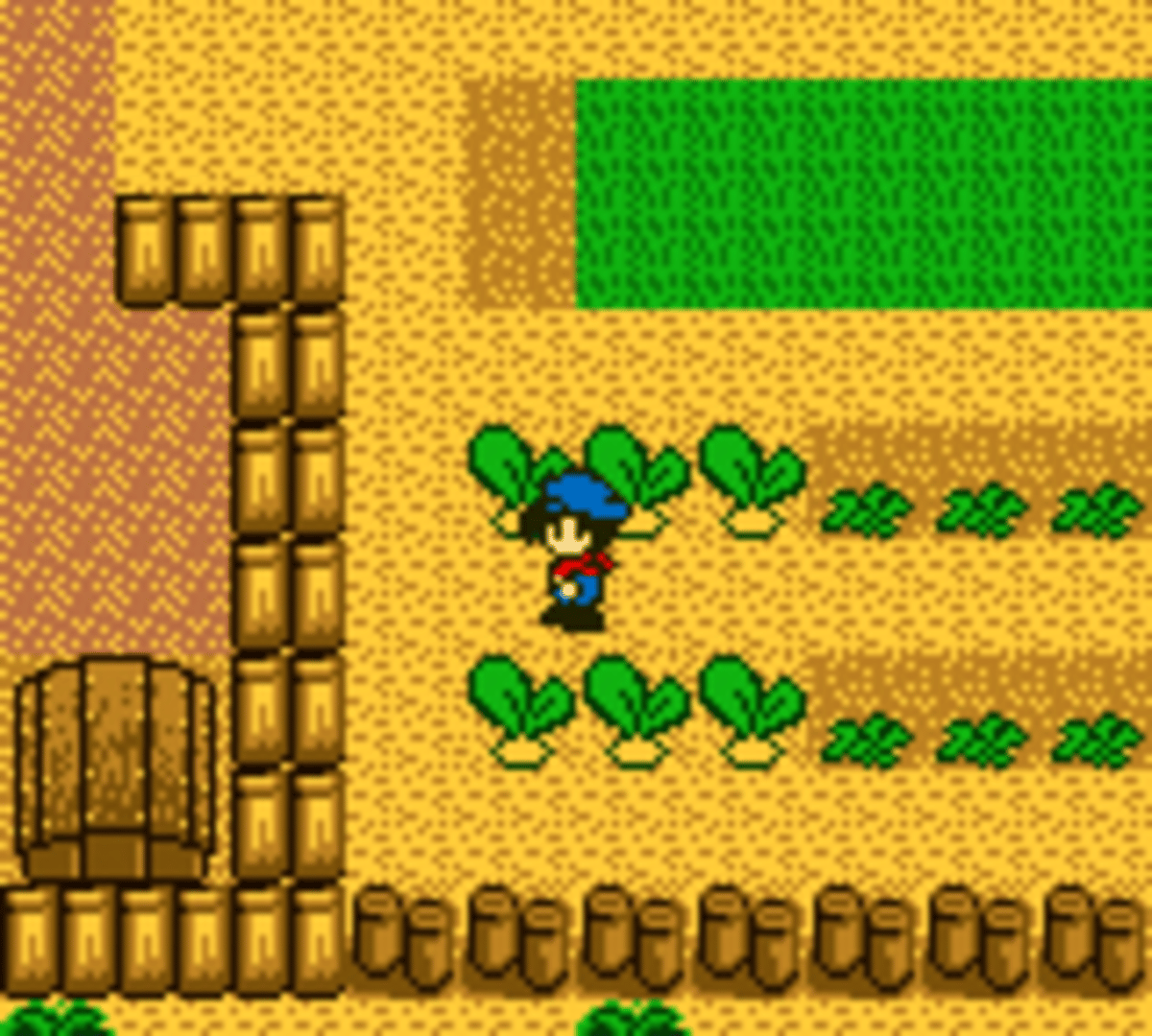 Harvest Moon GB screenshot