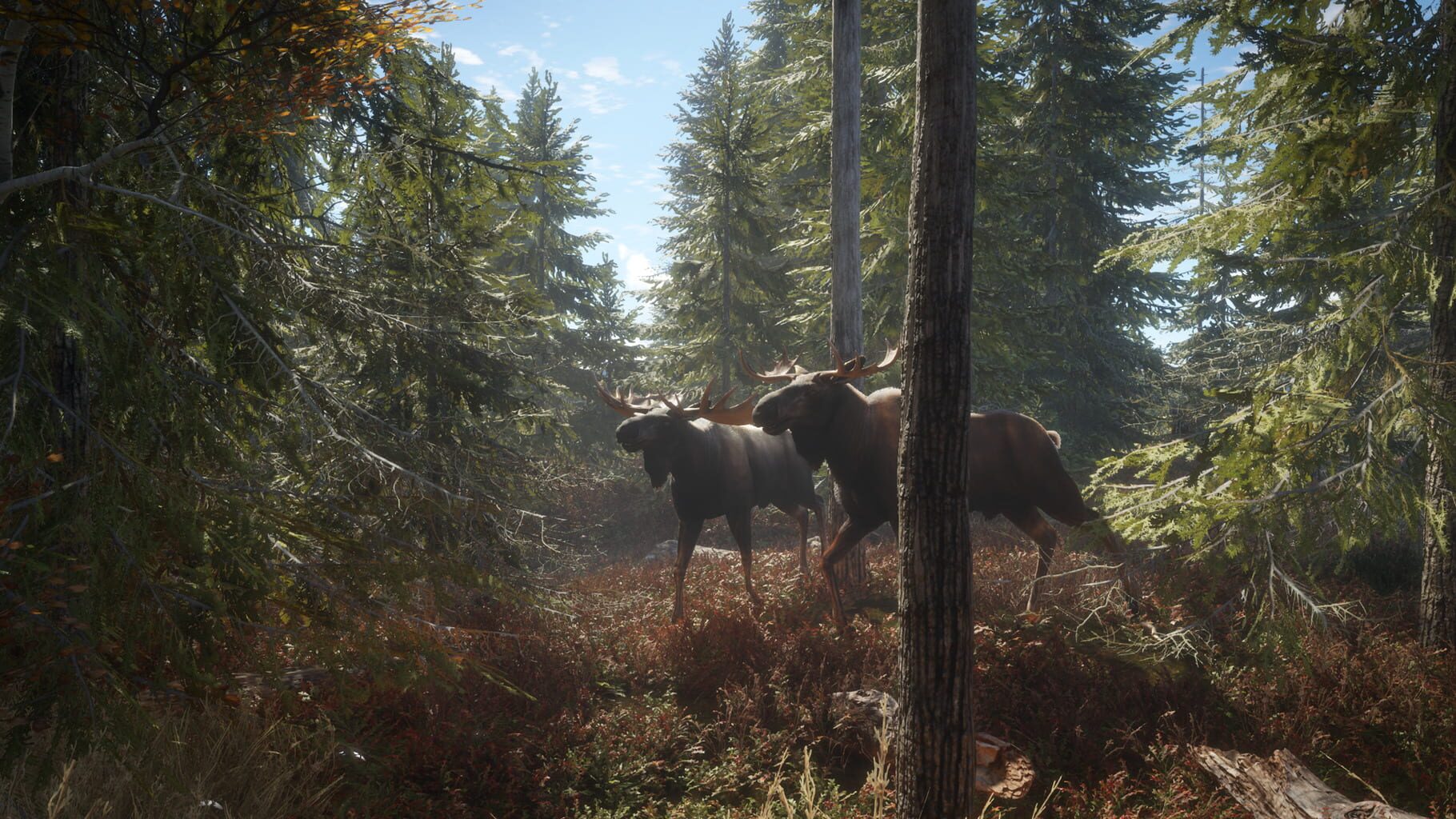 theHunter: Call of the Wild screenshots